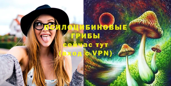 mix Алексин