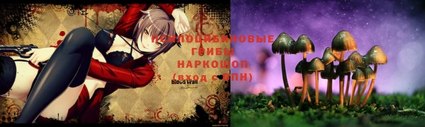 mix Алексин
