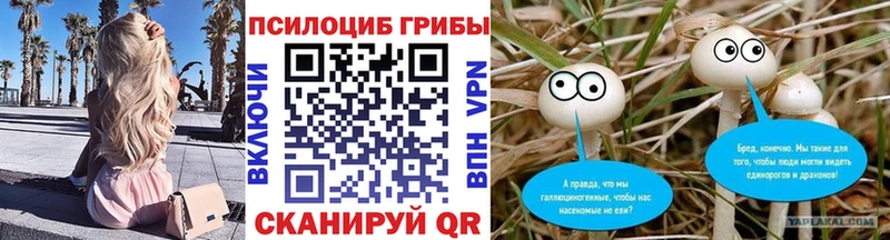 Псилоцибиновые грибы прущие грибы  Новоульяновск 